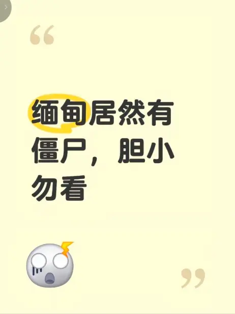 《缅甸僵尸出土事件》高清无删减免费播放 - 《缅甸僵尸出土事件视频》完整版在线观看 - 揭秘缅北僵尸出土事件真相最新录像