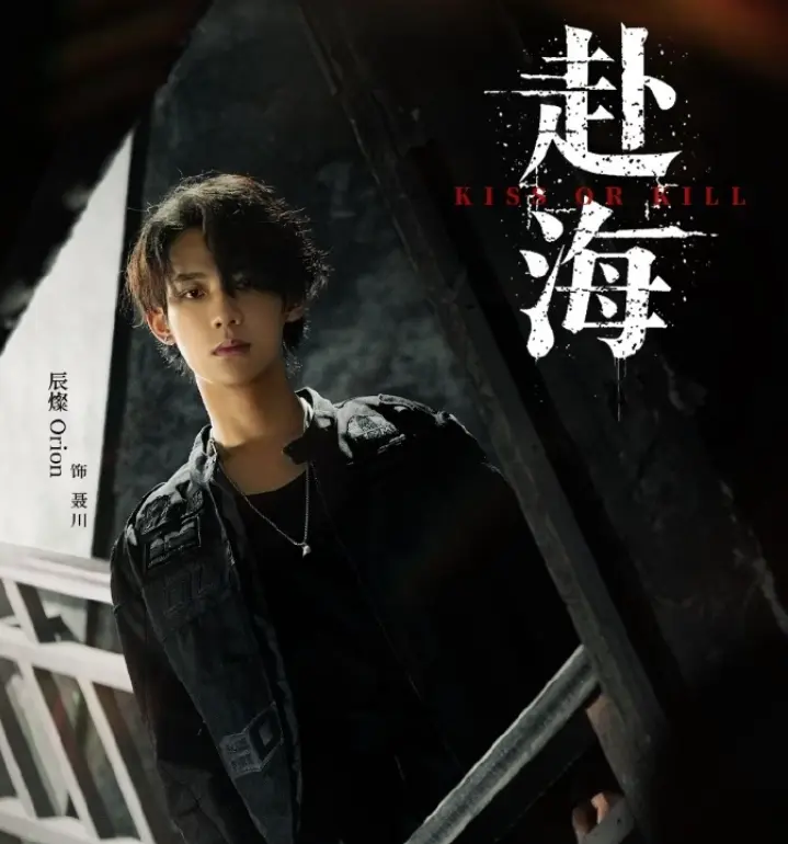 《赴海》环大陆免费在线观看-《赴海》全集高清播放-双男主剧完整版资源-辰燦主演爱情剧手机在线观看