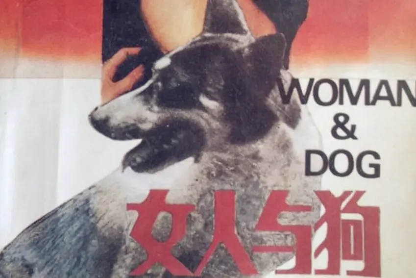 《女人与狗》俄罗斯电影1080P高清画质播放-《女人与狗》全集完整版观看-无删减版免费在线看