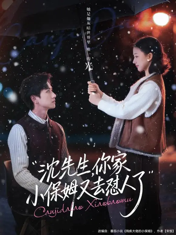 《沈先生，你家小保姆又去怼人了》相关资源图片