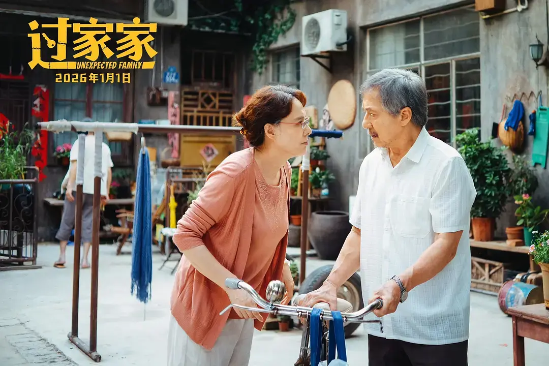 《过家家》全季免费高清播放-2026最新电视剧无删减在线观看-过家家全集资源手机看