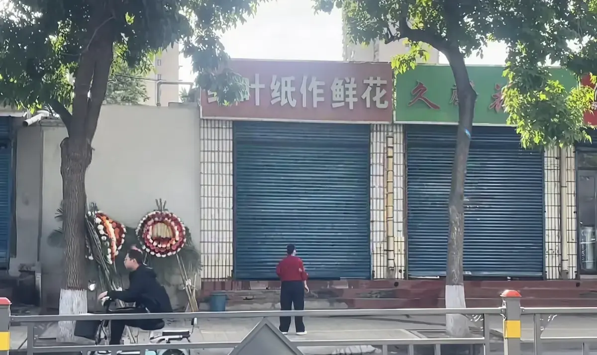 《原平纸作鲜花店门口视频》1080P高清画质免费播放-原平纸作鲜花店门口视频在线观看无广告-夸克/迅雷网盘资源全集下载