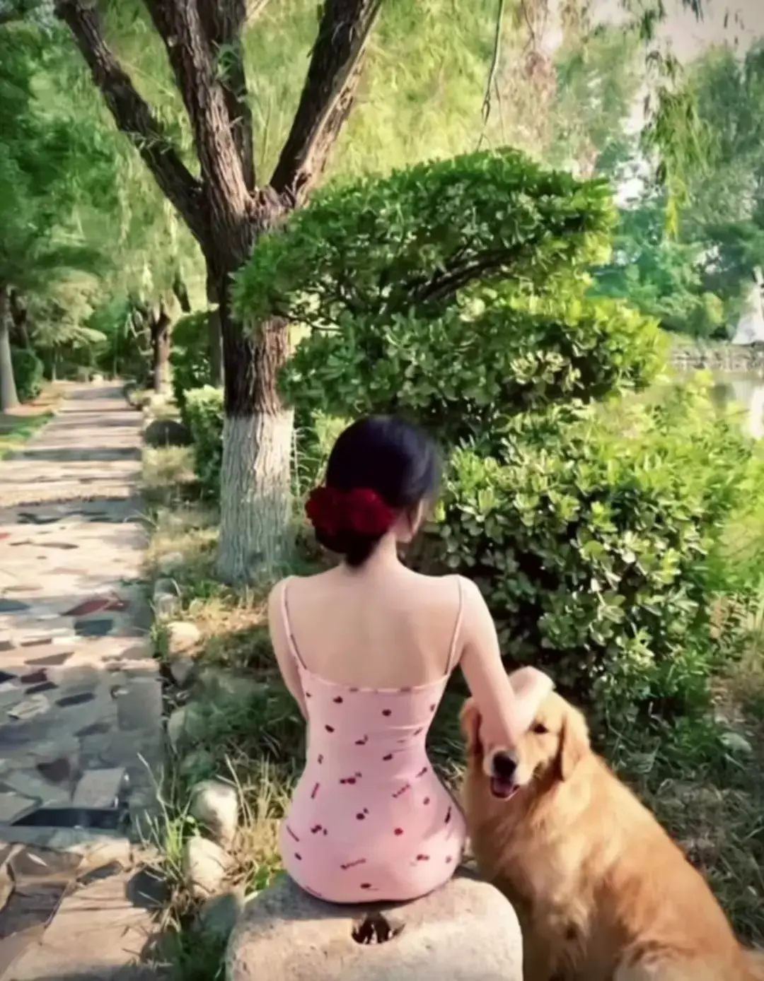 《香香公主与金毛爱犬高能瞬间》三集全高清无删减-完整版在线免费观看1080P-香香公主与金毛爱犬高能瞬间HD资源