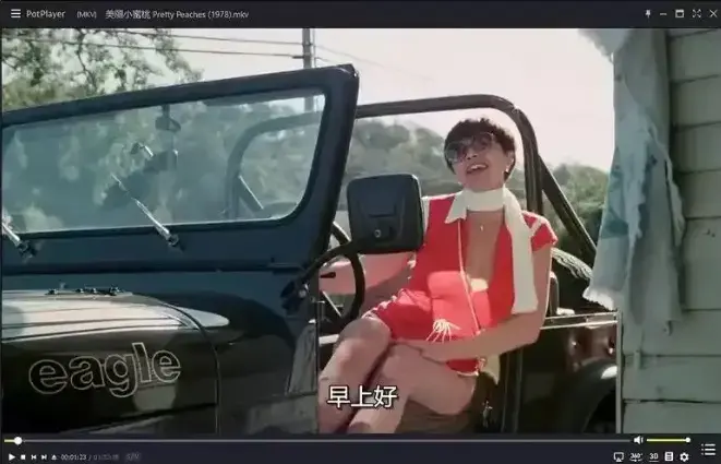 美丽小蜜桃高清完整版免费观看-1978年复古喜剧片未删减资源在线播放-《美丽小蜜桃》HD画质无广告