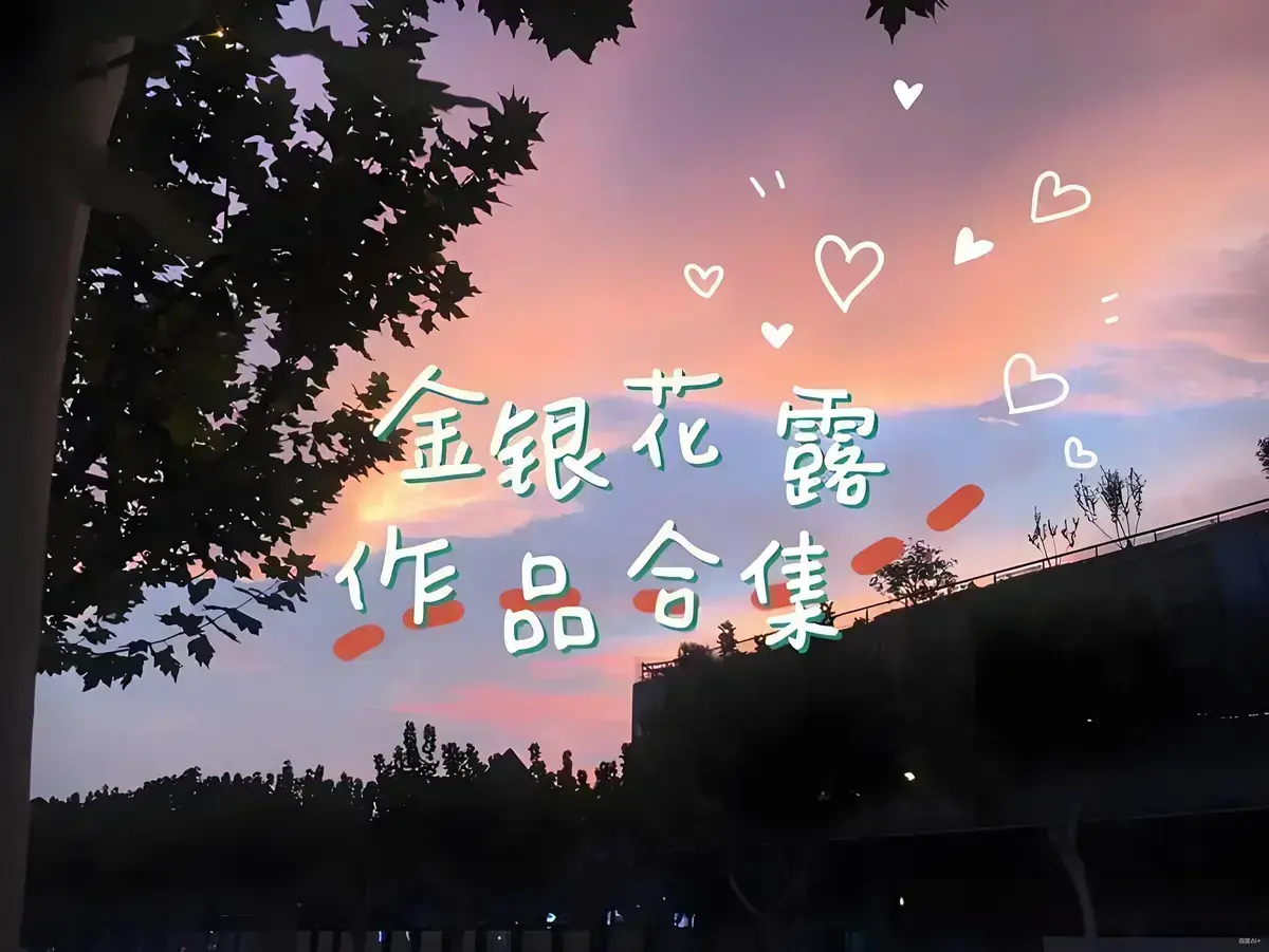 金银花露的所有书全集1080P-《金银花露的所有书》高清无广告-免费在线观看完整版