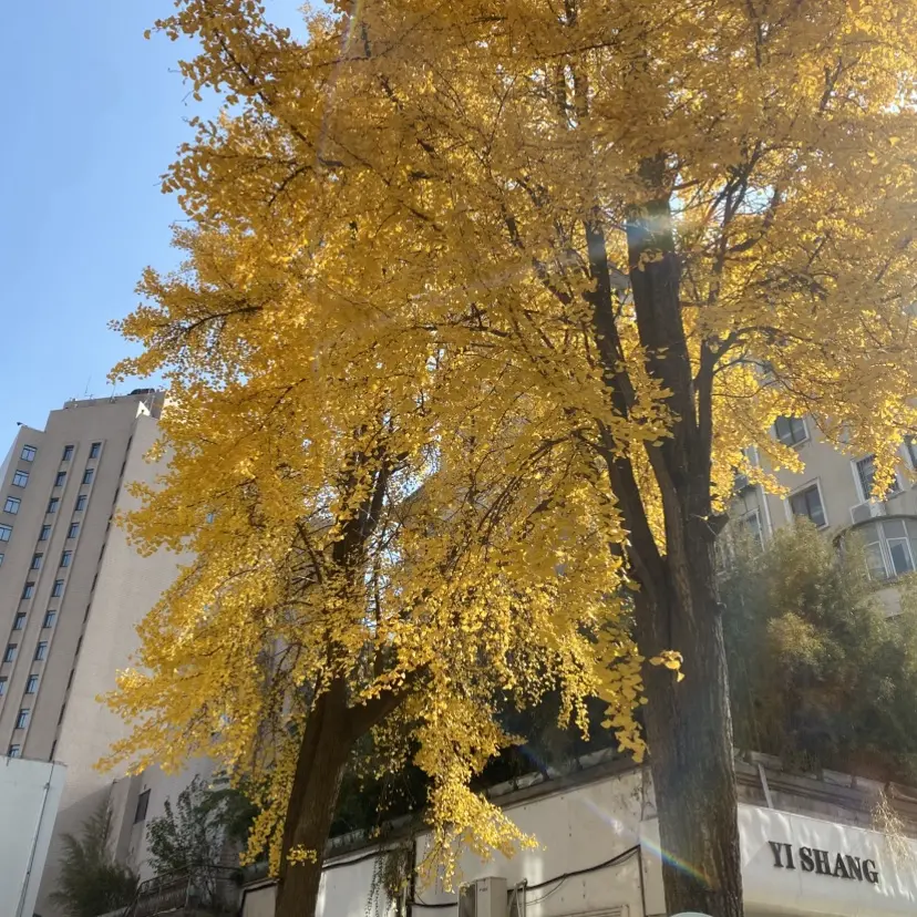 《婚婚逢她》短剧全季免费播放 - 高清未删减完整版在线看 - 婚婚逢她网盘资源下载无广告卡顿